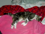 Even more relaxed!