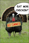 Thanksgiving 'Canes: Eat Mor Chickin
