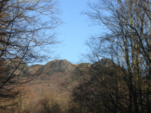 Mountain view from the car