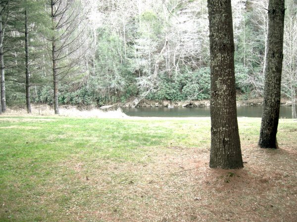 River View (1)
