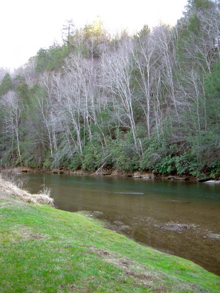 River View (2)