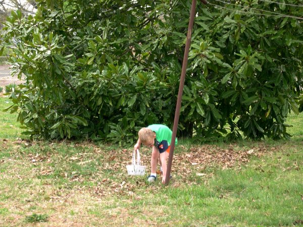 Egg Hunt (10)