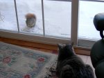 Squirrel 1, Tipper 0