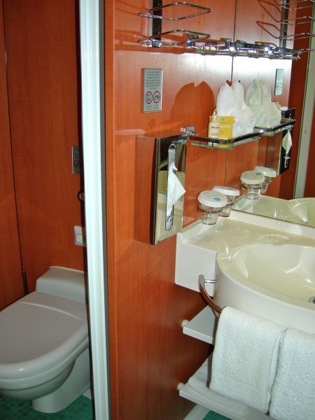 The Bathroom