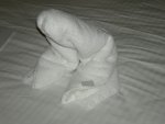 A towel frog as part of our turn-down service.