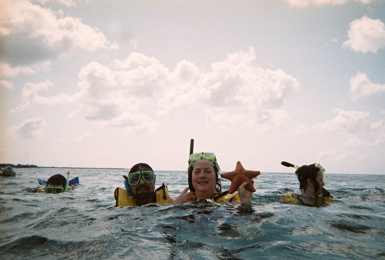 Snorkeling in Cozumel: A starfish!