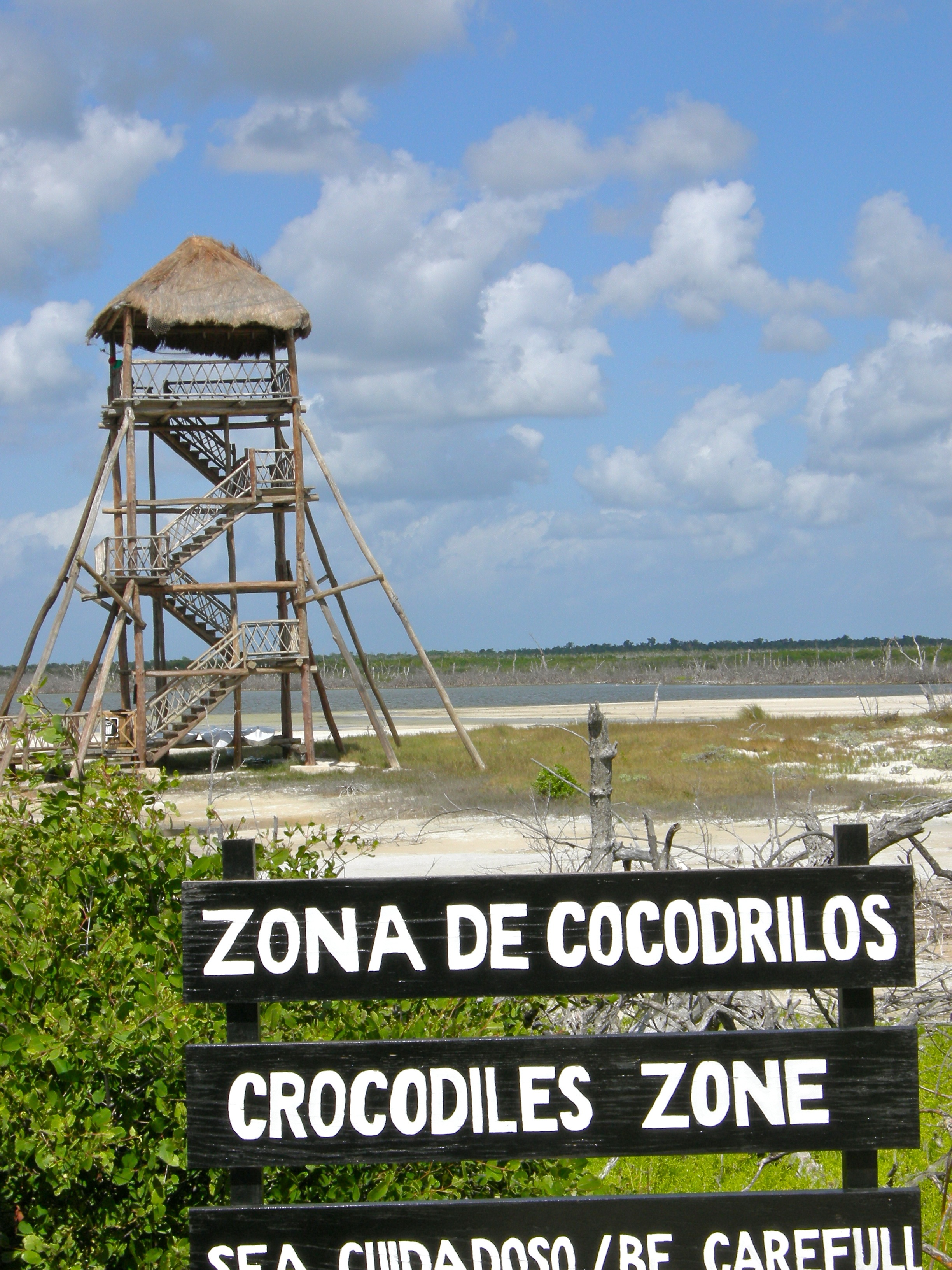 Crocodiles Zone: Be Carefull!