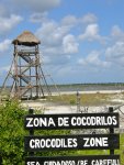 Crocodiles Zone: Be Carefull!