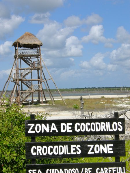 Crocodiles Zone: Be Carefull!