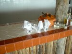 Conch shell napkin holders.