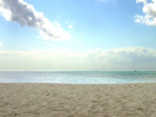The Beach