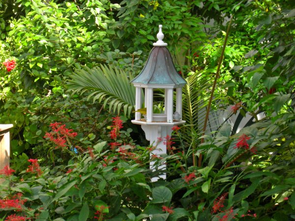 Butterfly Conservatory
