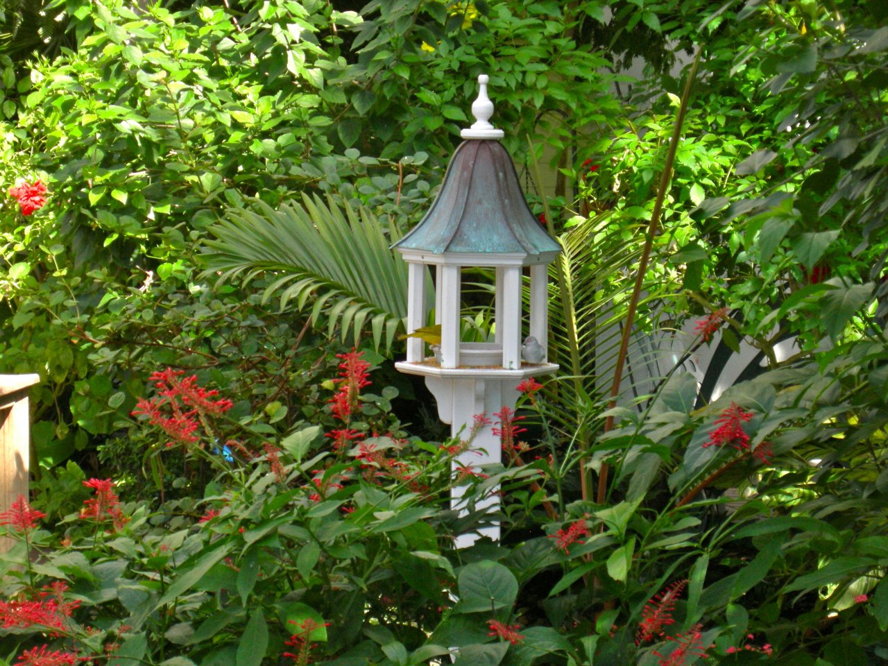 Butterfly Conservatory