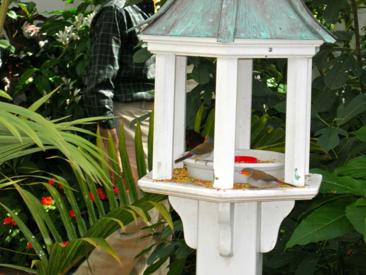 Butterfly Conservatory