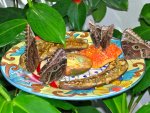 Butterfly Conservatory
