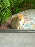 Thursday, February 5th: Key West, Florida