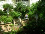 Butterfly Conservatory