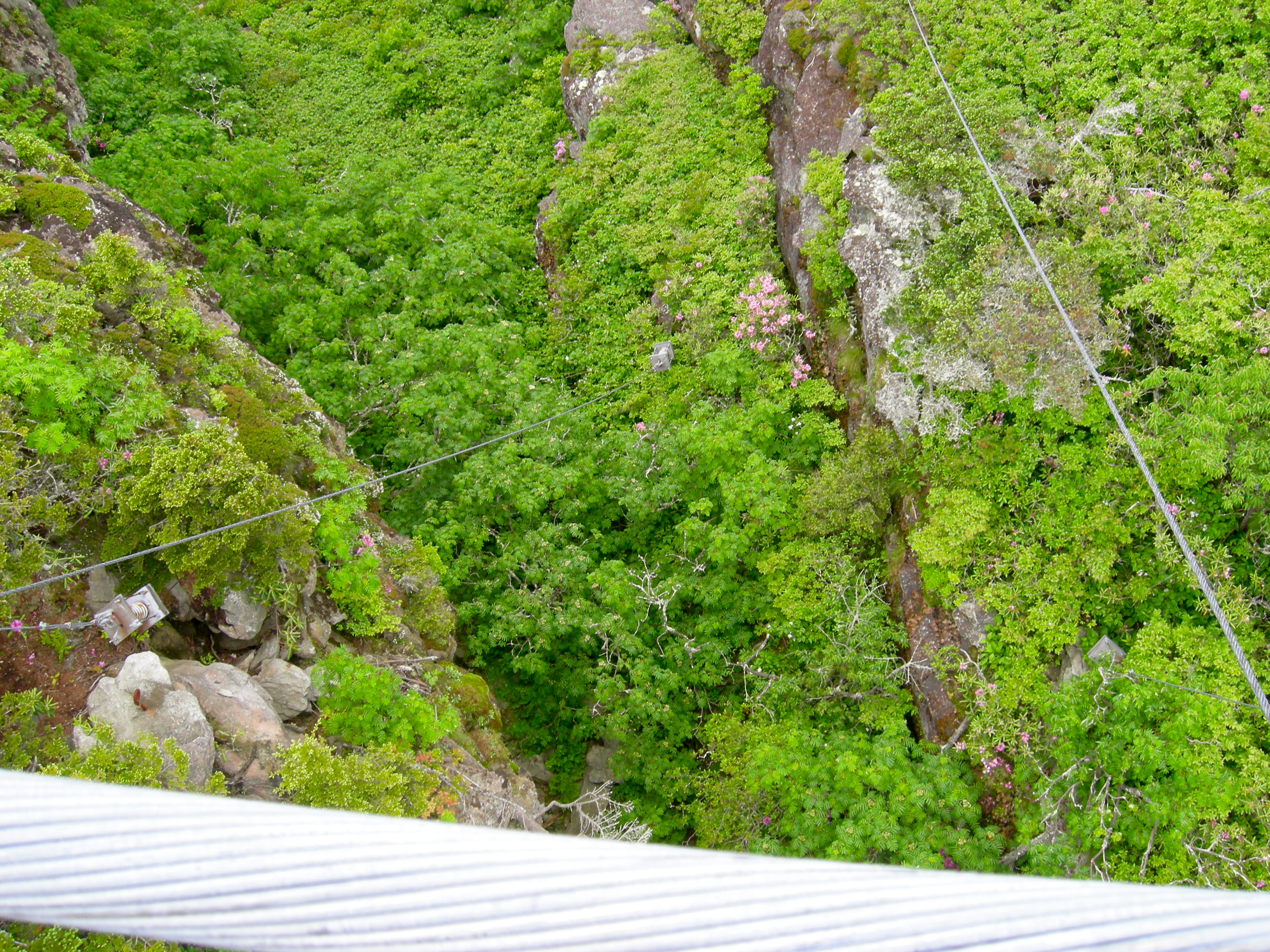 A pretty steep drop below the bridge.