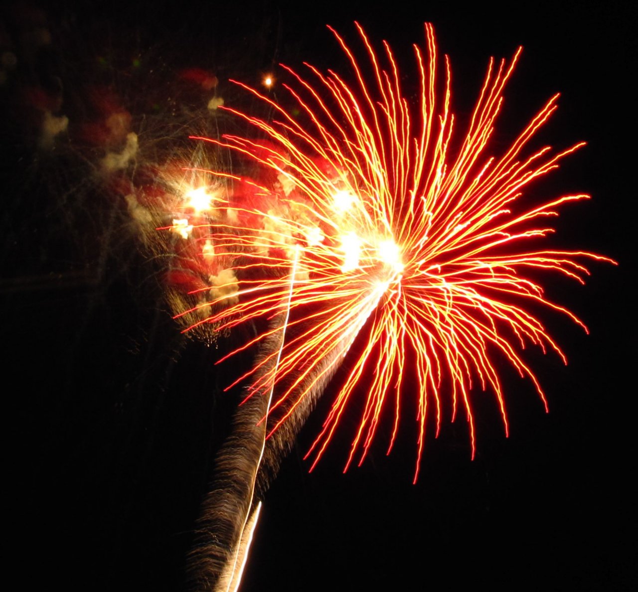 Raleigh Fireworks