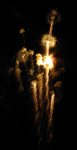 Raleigh Fireworks