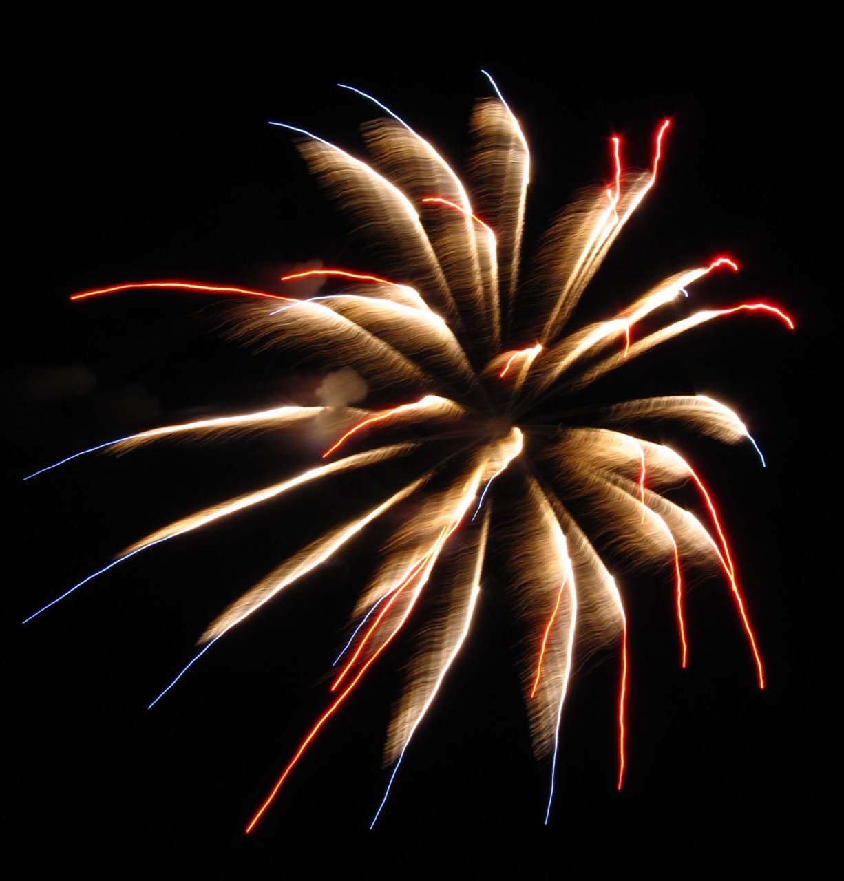 Raleigh Fireworks