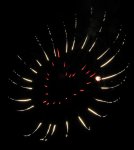 Raleigh Fireworks