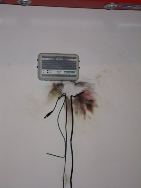 where lightning struck in their garage