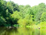 Sullivan's Pond