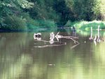 Sullivan's Pond