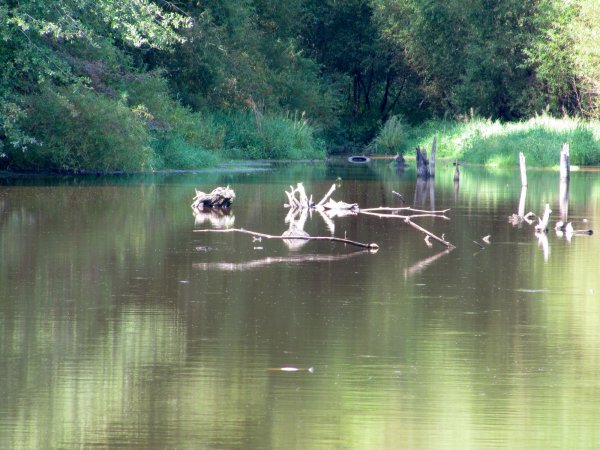 Sullivan's Pond