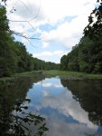 looking out over the Pee Dee river