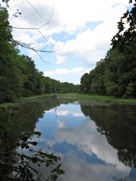 looking out over the Pee Dee river