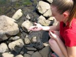 Ashton found some small freshwater clams