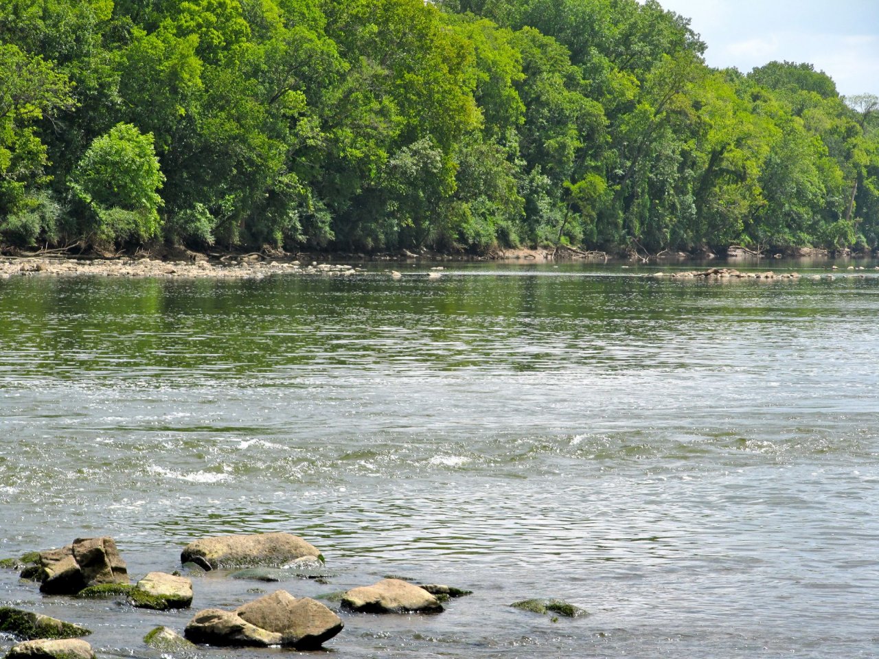 Pee Dee river