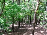 looking down the trail on Morrow mountain
