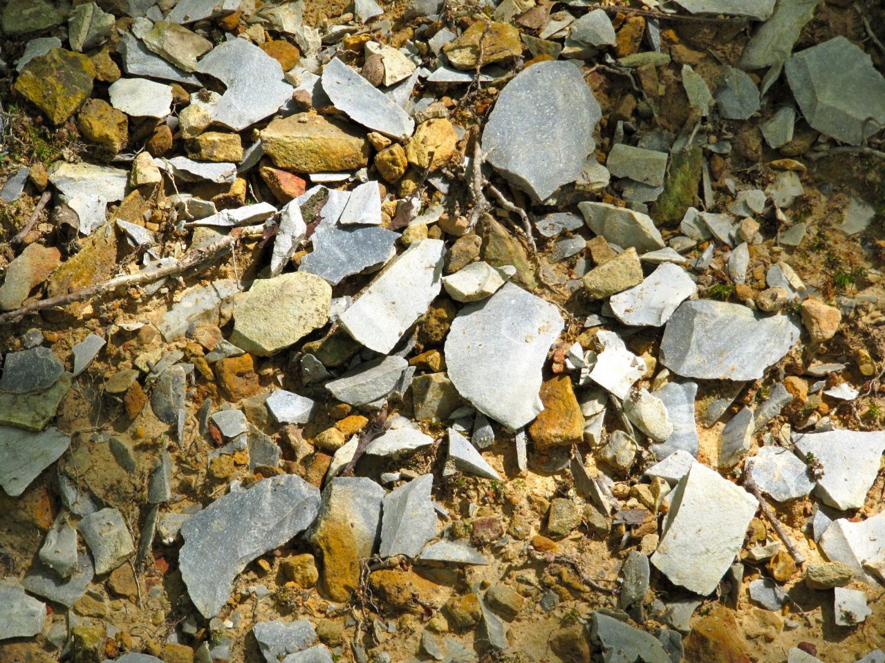 some of the interesting rock on the Morrow mountain trail
