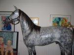 Charlie horse at the bed and breakfast