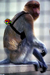 Rubik's Cube Bra