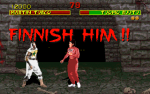 Mortal Kombat: FINNISH HIM!  (Tuomo Ruutu vs. Marty Turco)