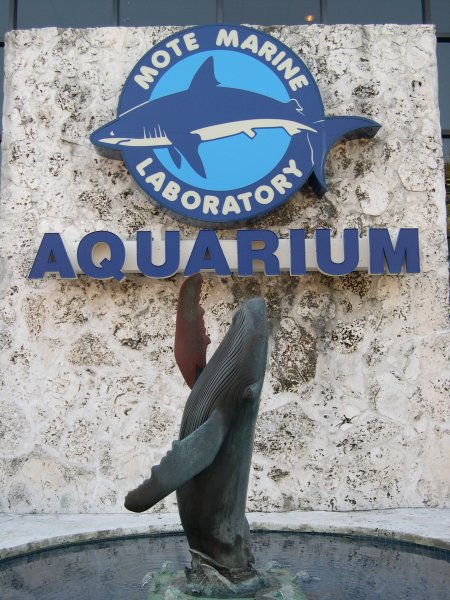 outside mote aquarium