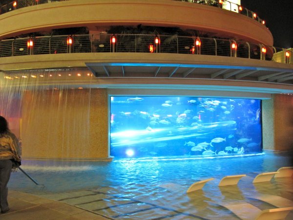 Golden Nugget aquarium water slide