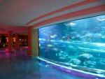 Golden Nugget aquarium water slide
