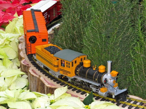 Bellagio conservatory: model train (inside track)