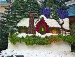 Bellagio conservatory: a winter scene made with flowers and pine boughs