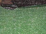 pea-sized hail in Newton