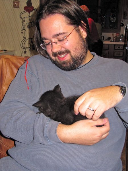 kittens!