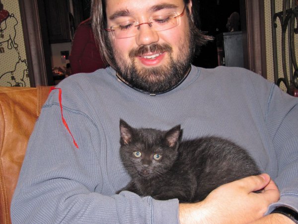 kittens!