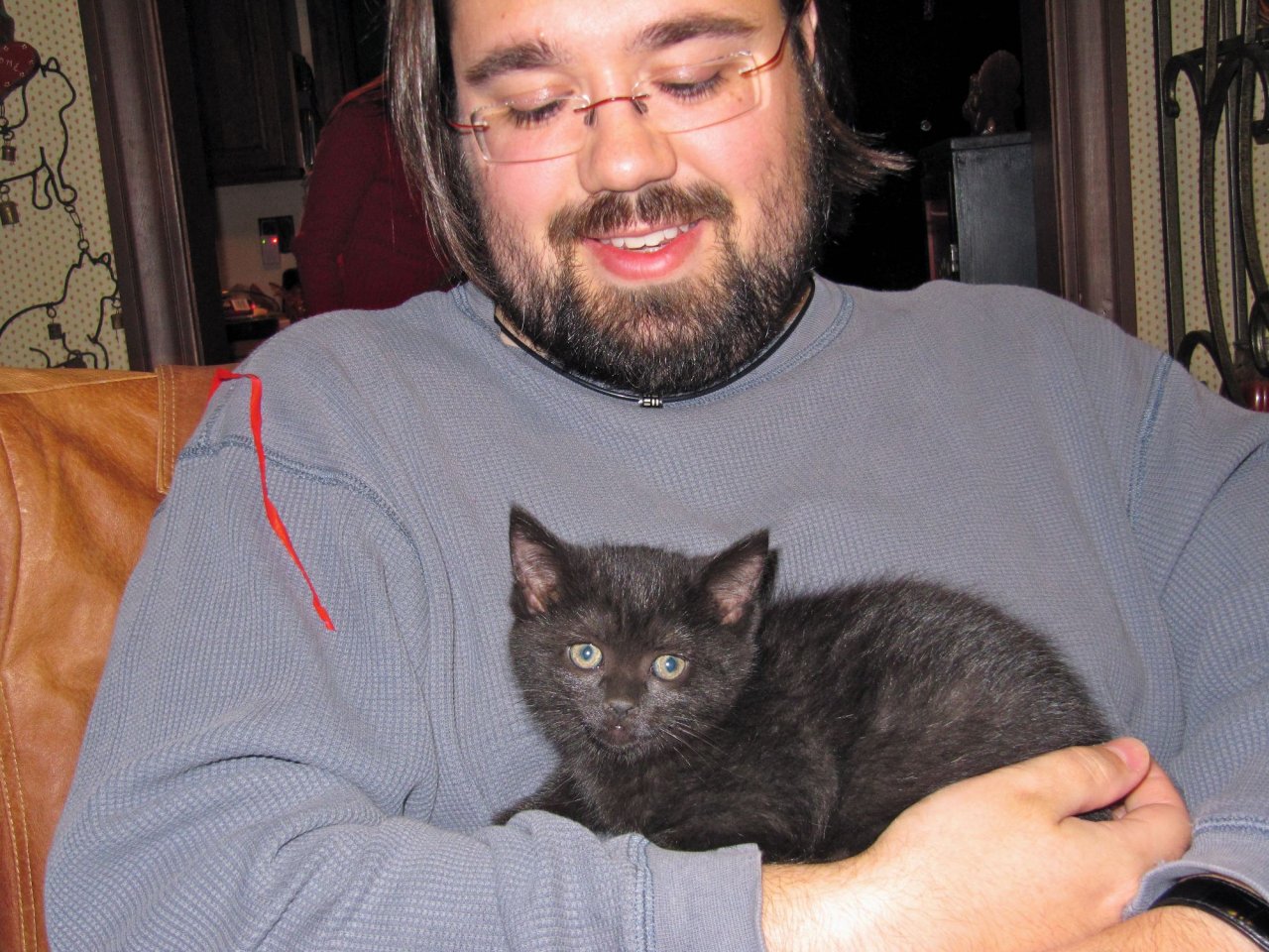 kittens!