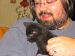 kittens!