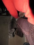kittens!